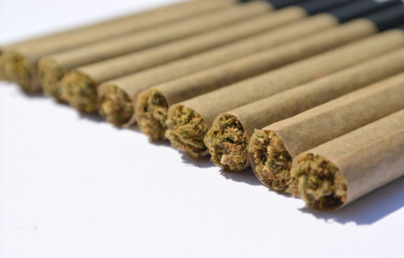 Vance Global Review Is It Legit?